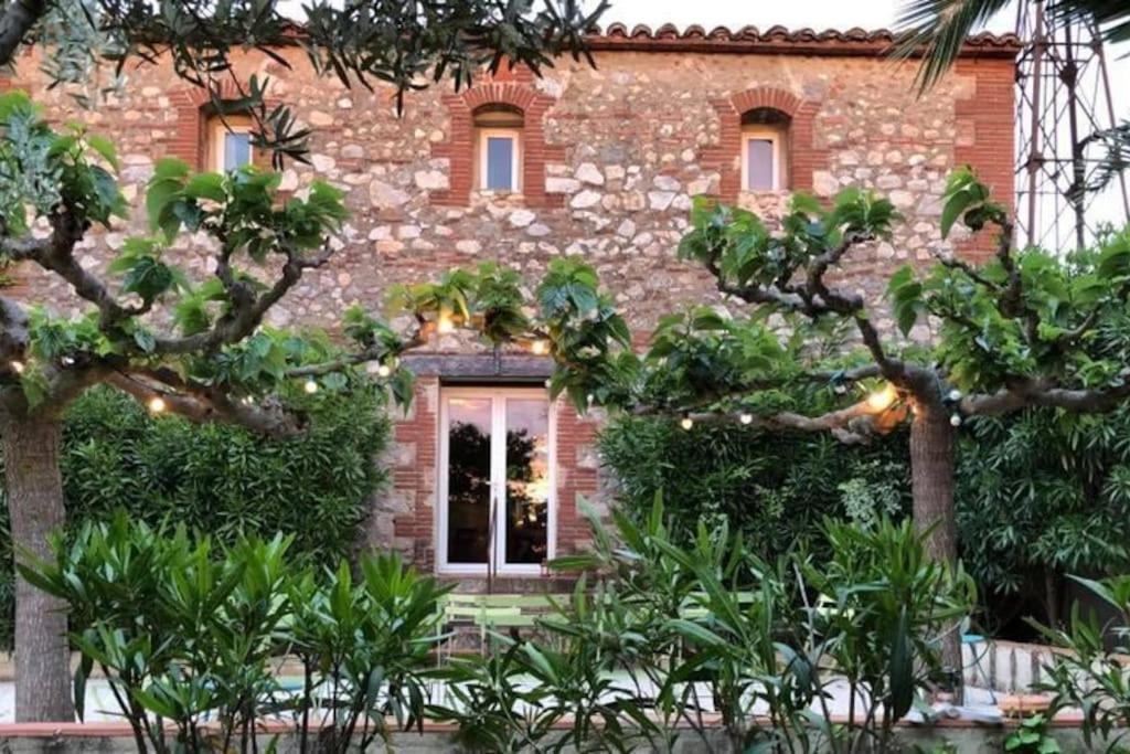 La Maison Des Vendangeurs Canet-en-Roussillon Buitenkant foto