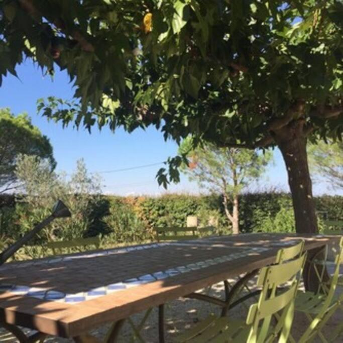 La Maison Des Vendangeurs Canet-en-Roussillon Buitenkant foto