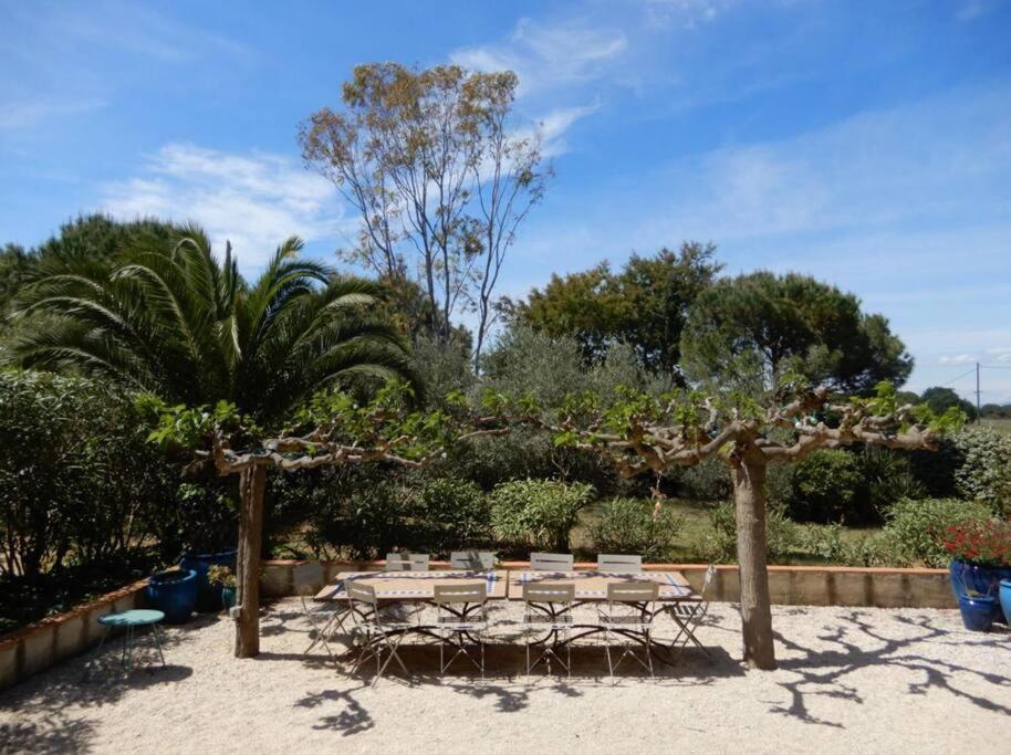La Maison Des Vendangeurs Canet-en-Roussillon Buitenkant foto