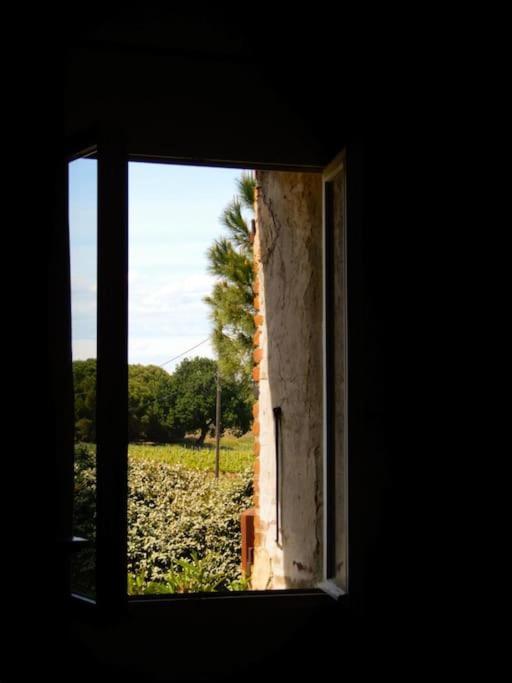 La Maison Des Vendangeurs Canet-en-Roussillon Buitenkant foto