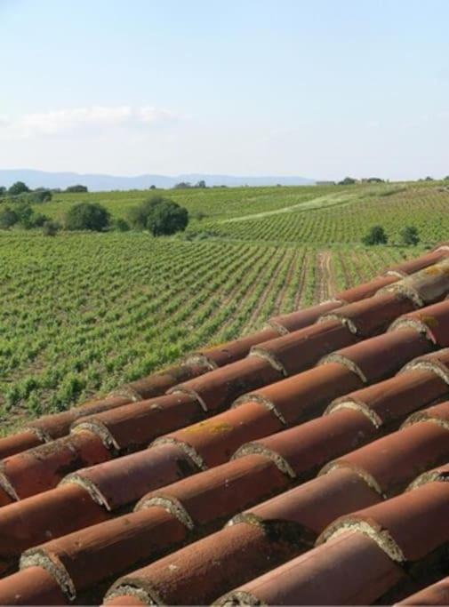 La Maison Des Vendangeurs Canet-en-Roussillon Buitenkant foto